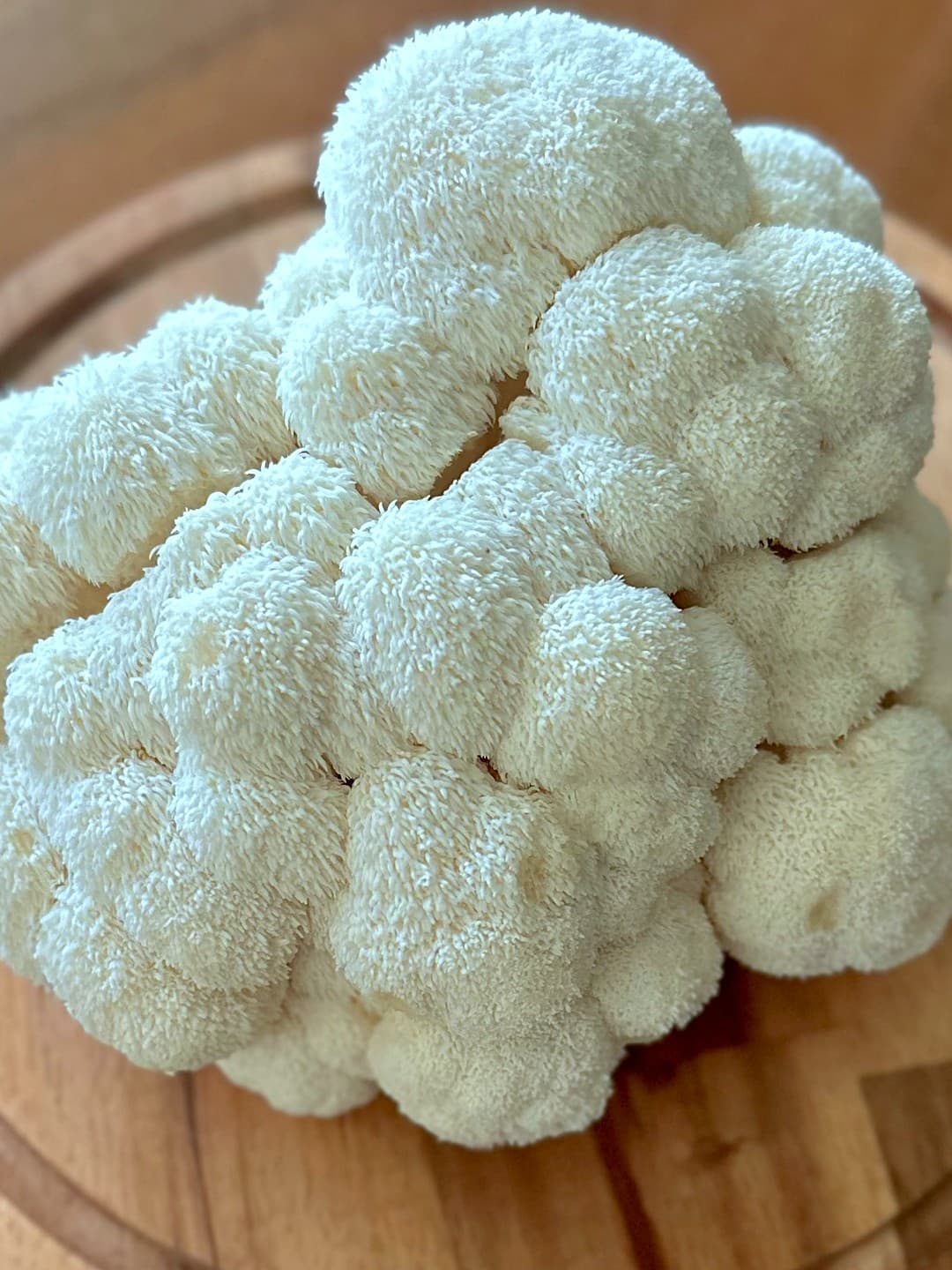 Lions Mane