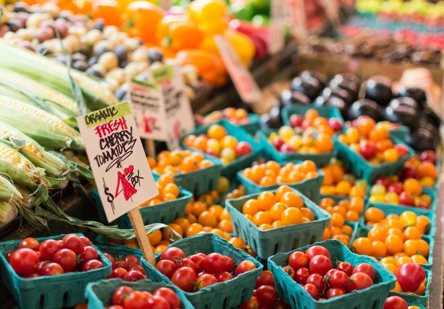 Japantown Farmer’s Market produce